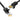 Ugreen Nw102 20170 Cat6 Utp Ethernet Cable 50m Black